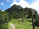 photo thumbnail #12