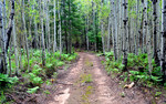 photo thumbnail #3