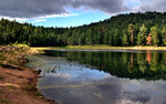 photo thumbnail #11