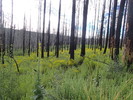 photo thumbnail #3