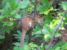 photo thumbnail #8
