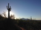 photo thumbnail #1