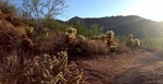 photo thumbnail #2