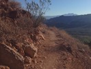 photo thumbnail #7