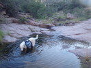 photo thumbnail #3
