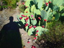 photo thumbnail #6