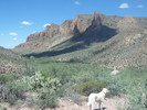 photo thumbnail #8