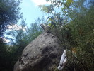 photo thumbnail #10