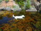 photo thumbnail #11