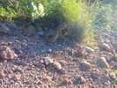 photo thumbnail #12