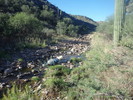photo thumbnail #13