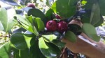 photo thumbnail #5