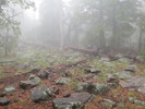 photo thumbnail #12