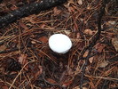 photo thumbnail #13