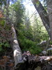 photo thumbnail #4