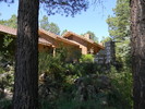 photo thumbnail #7
