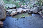 photo thumbnail #3