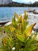 photo thumbnail #13