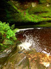 photo thumbnail #13