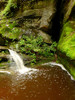 photo thumbnail #14