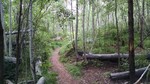 photo thumbnail #5