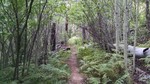 photo thumbnail #6