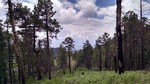 photo thumbnail #10