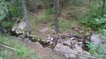 photo thumbnail #13