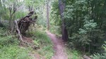 photo thumbnail #14