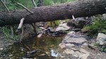 photo thumbnail #15