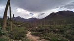 photo thumbnail #4