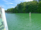 photo thumbnail #14