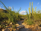 photo thumbnail #3