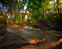 photo thumbnail #1
