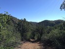 photo thumbnail #8