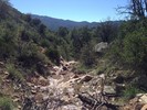photo thumbnail #9