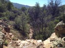 photo thumbnail #10