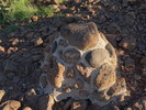 photo thumbnail #9