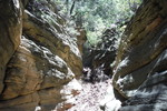 photo thumbnail #13