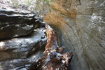 photo thumbnail #14