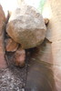 photo thumbnail #10