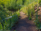 photo thumbnail #5