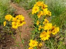 photo thumbnail #12