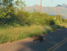 photo thumbnail #1
