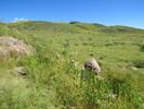 photo thumbnail #14