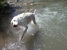 photo thumbnail #6