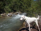 photo thumbnail #8