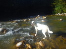 photo thumbnail #13