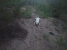 photo thumbnail #15