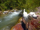 photo thumbnail #9